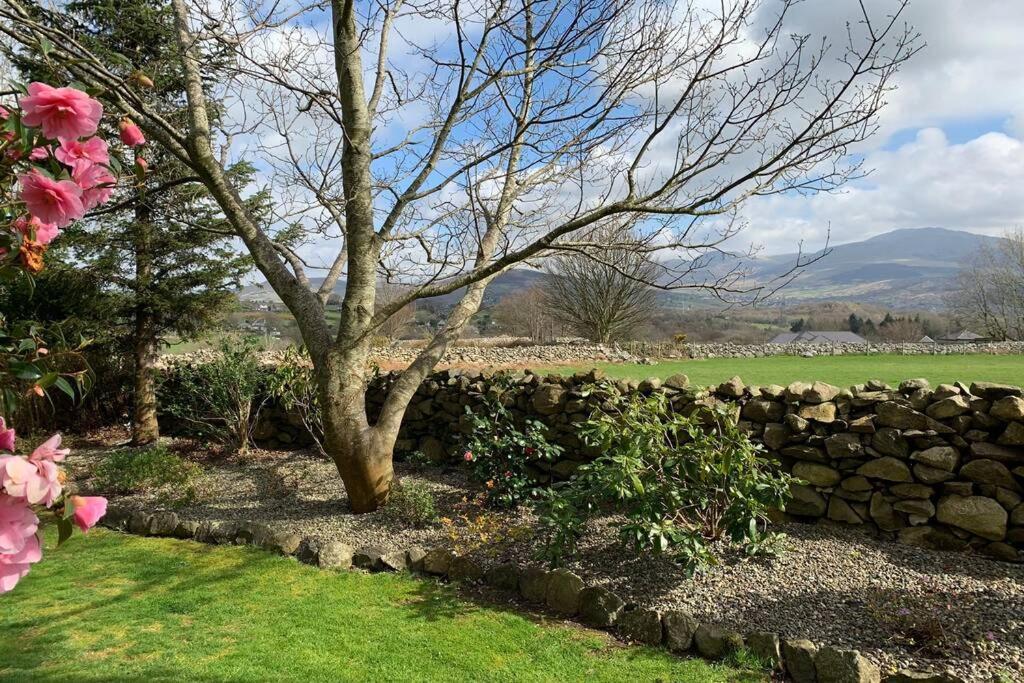 Snowdonia Cabin Κερνάρφον Εξωτερικό φωτογραφία