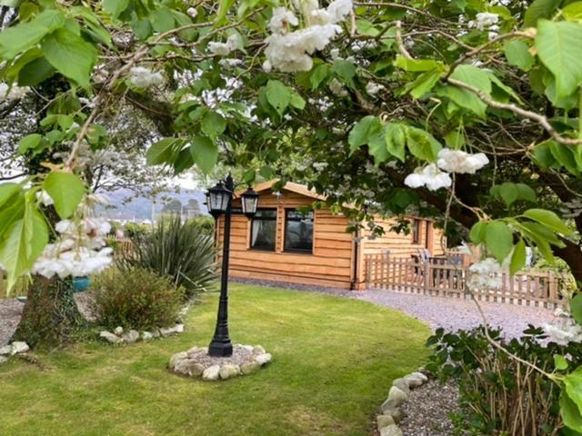 Snowdonia Cabin Κερνάρφον Εξωτερικό φωτογραφία